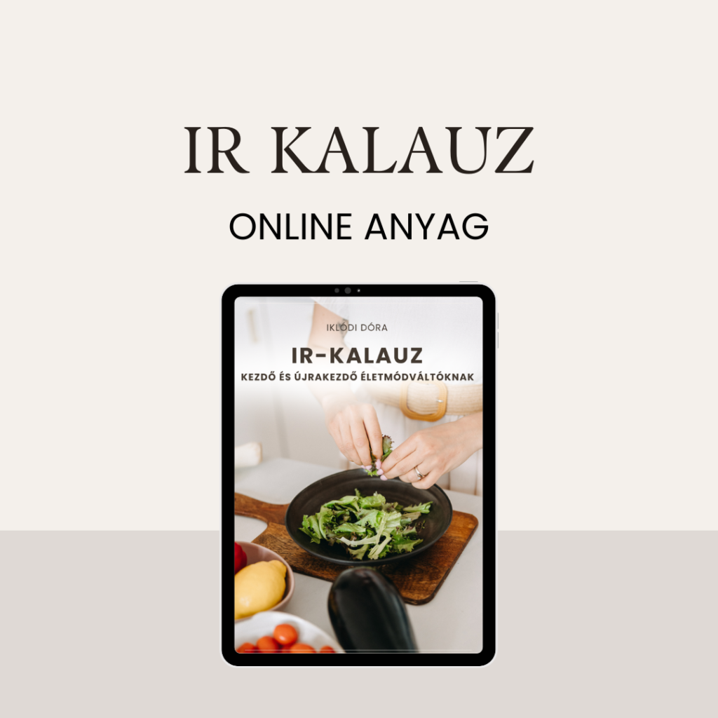 Iklódi Dóra - IR Kalauz - E-Book